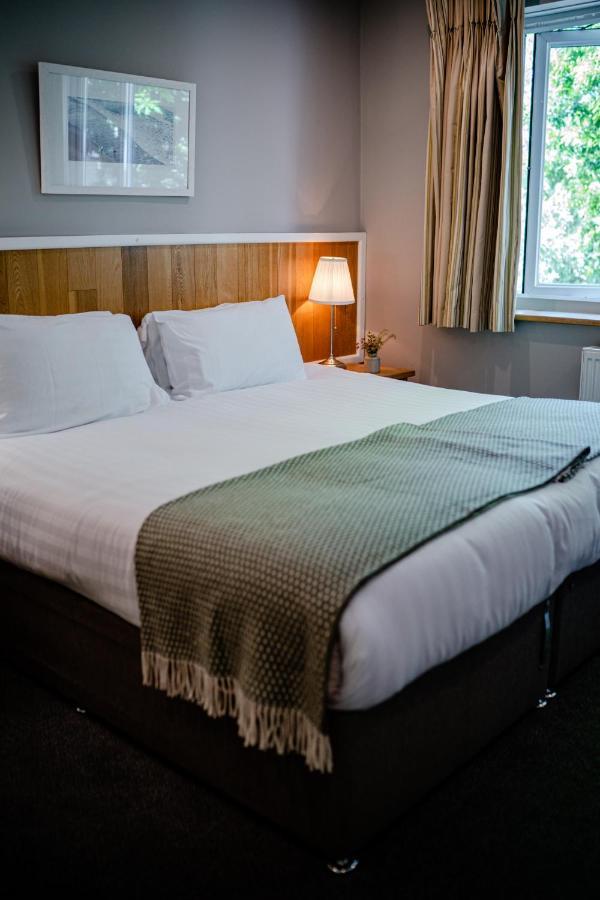 Hotel The Golden Lion, Newport, Pembrokeshire Newport  Esterno foto